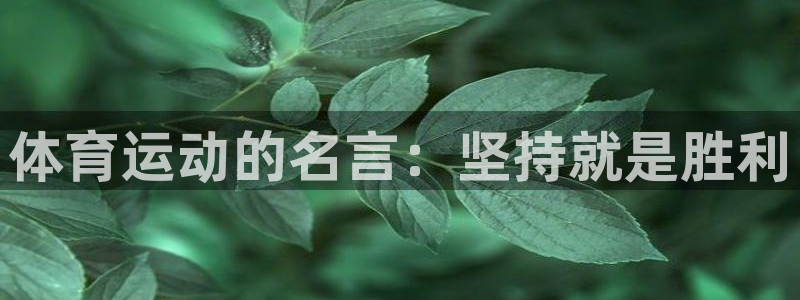 必发官网下载平台:体育运动的名言:坚持就是胜利